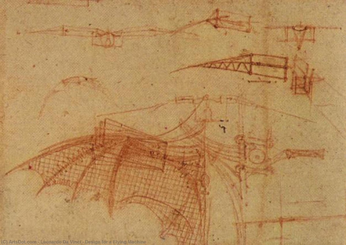 Leonardo's Wings